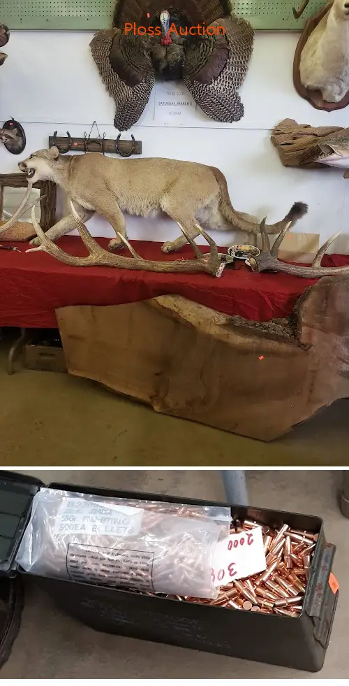 Ploss Auction