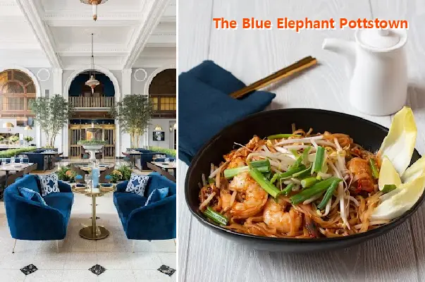 The Blue Elephant Pottstown
