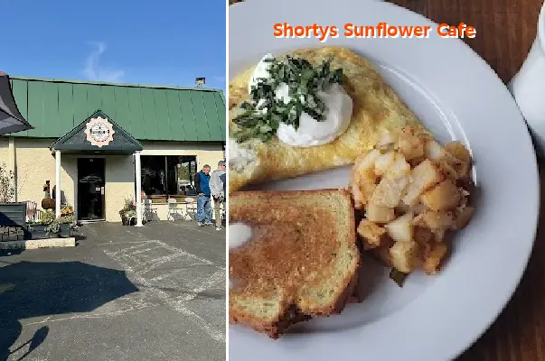 Shortys Sunflower Cafe