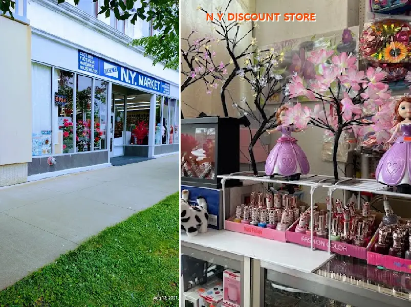 N Y DISCOUNT STORE